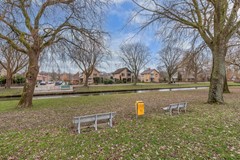 Foto Groene Zoom 12 Marknesse 04.jpg